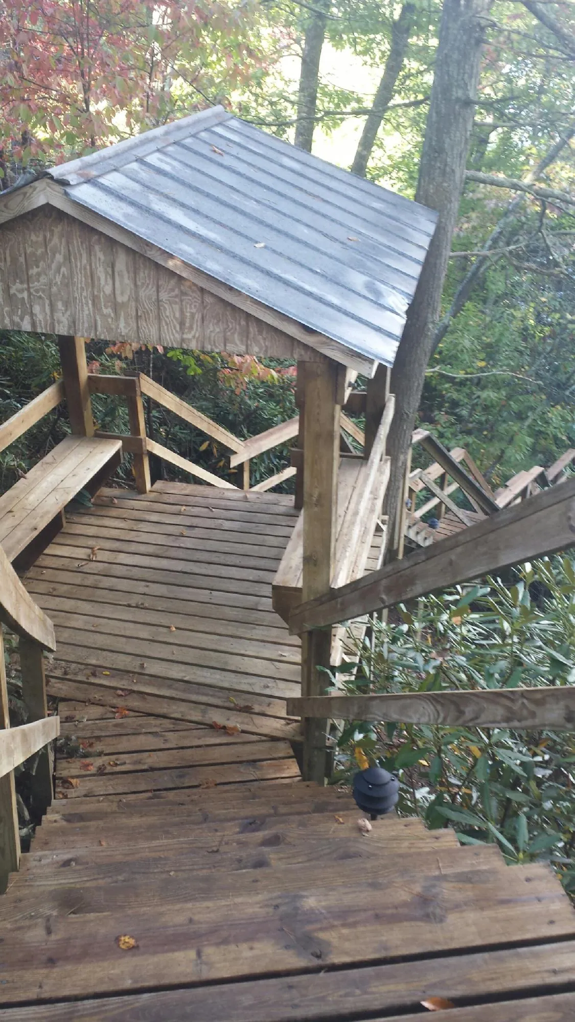 Metal roofed shelter over wooden steps on a wooded walkway — Skylight Repair & Installation work by our crew in Branch